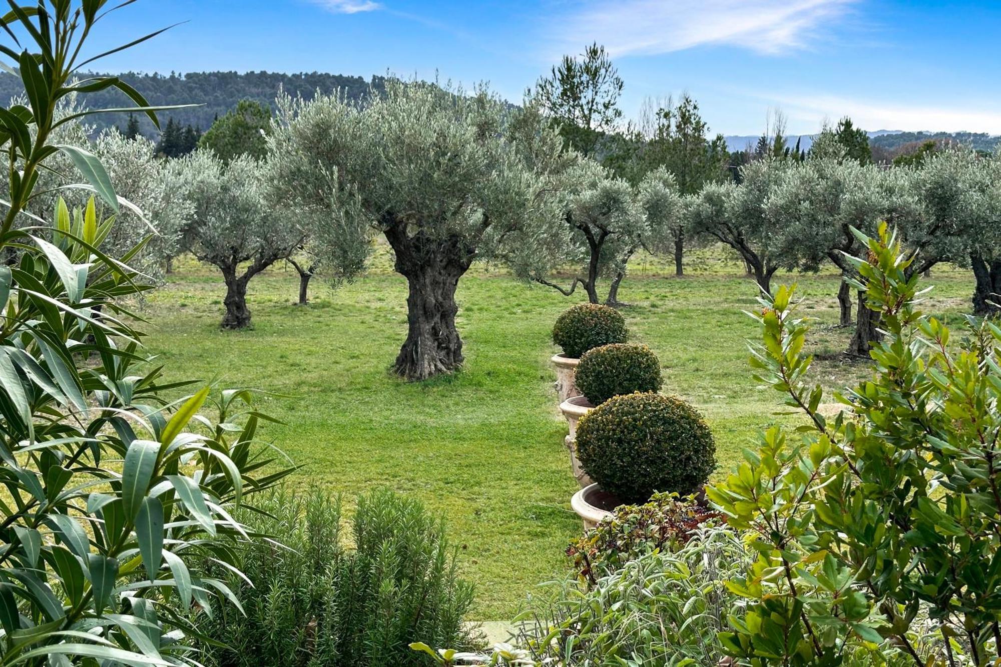 Appartement I Bastide La Graviere I Electio Lourmarin Bagian luar foto